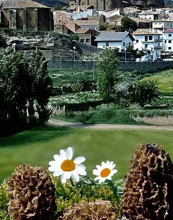 Casa Melero *